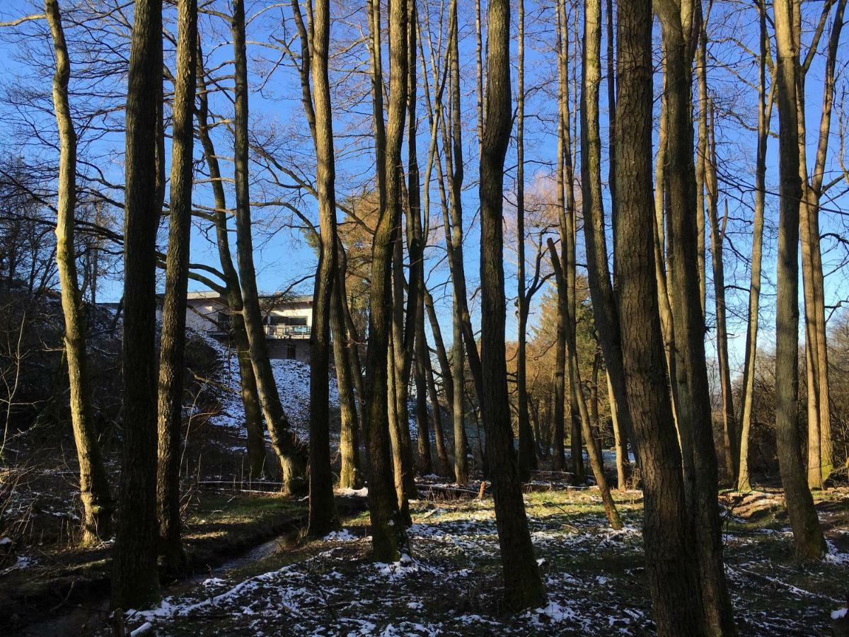 Haagalm Terrasse, Garten Nonnweiler Zewnętrze zdjęcie