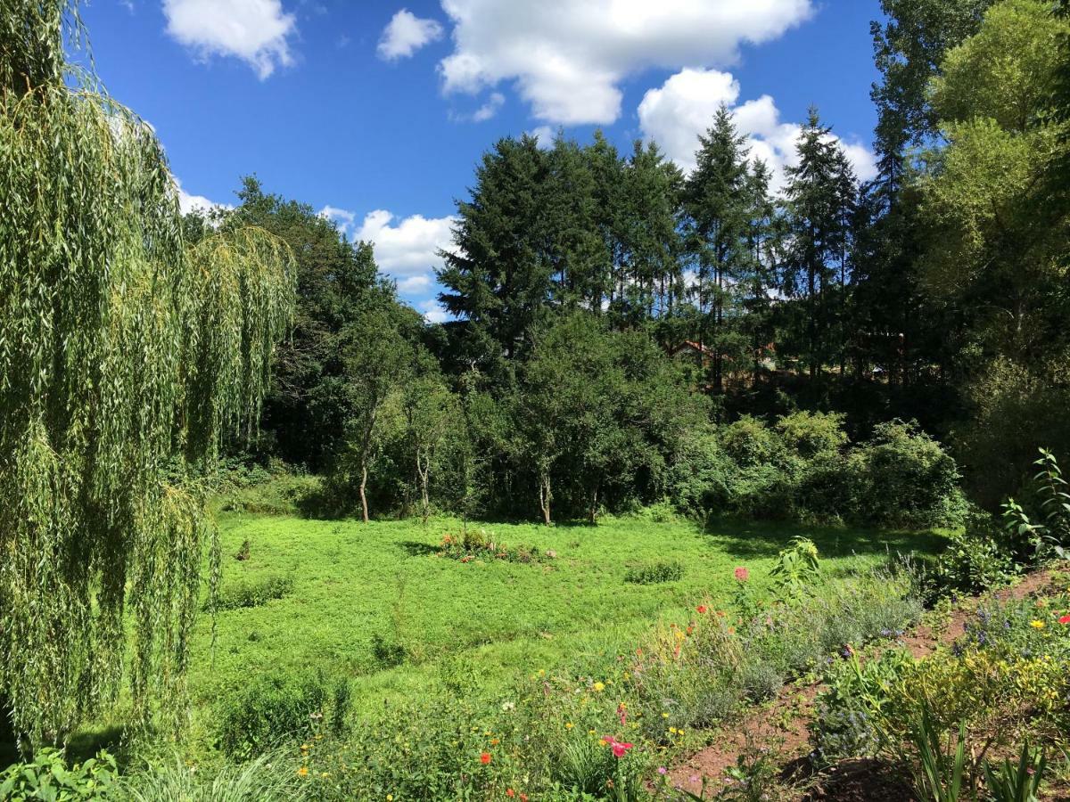 Haagalm Terrasse, Garten Nonnweiler Zewnętrze zdjęcie