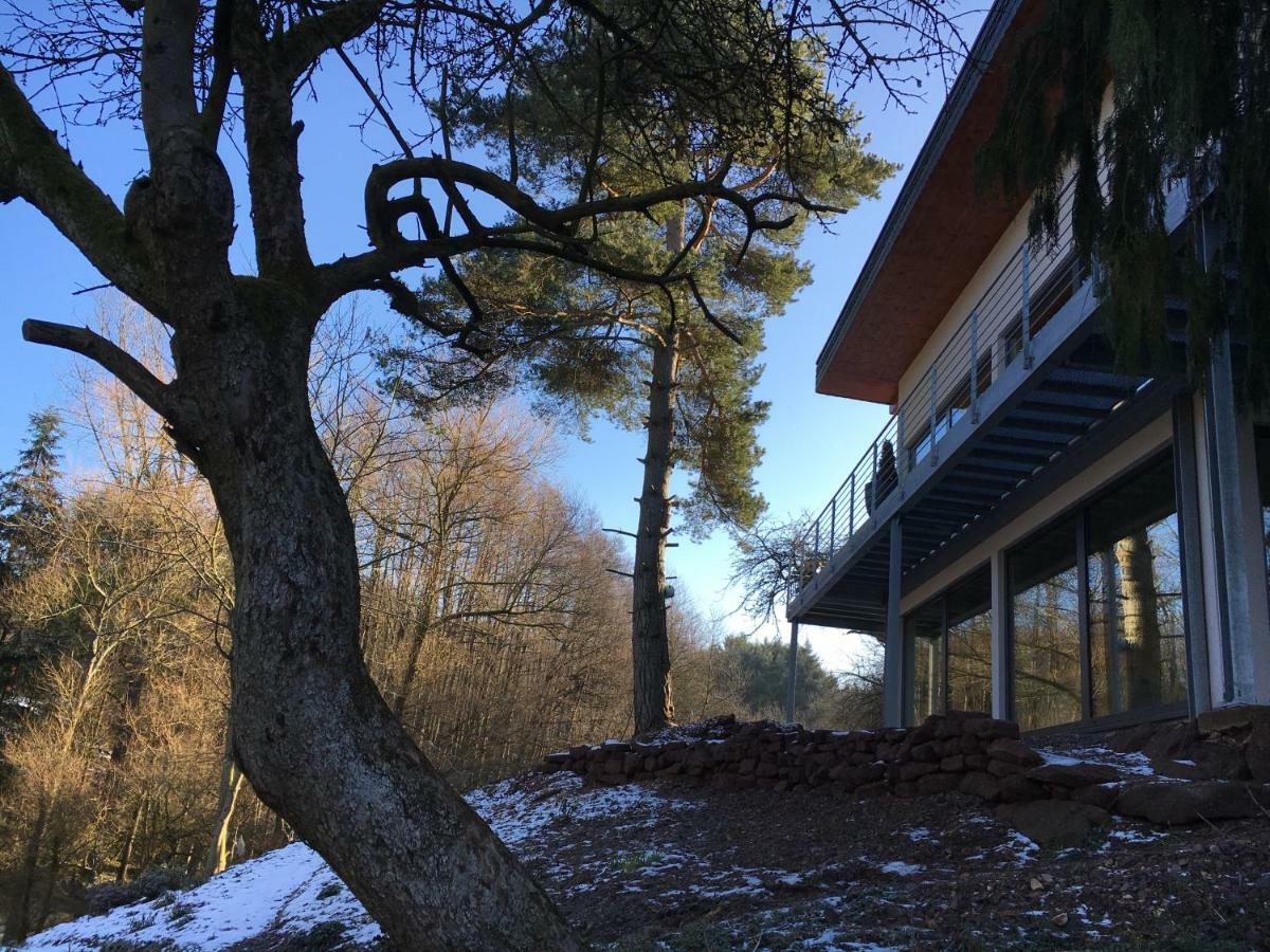 Haagalm Terrasse, Garten Nonnweiler Zewnętrze zdjęcie
