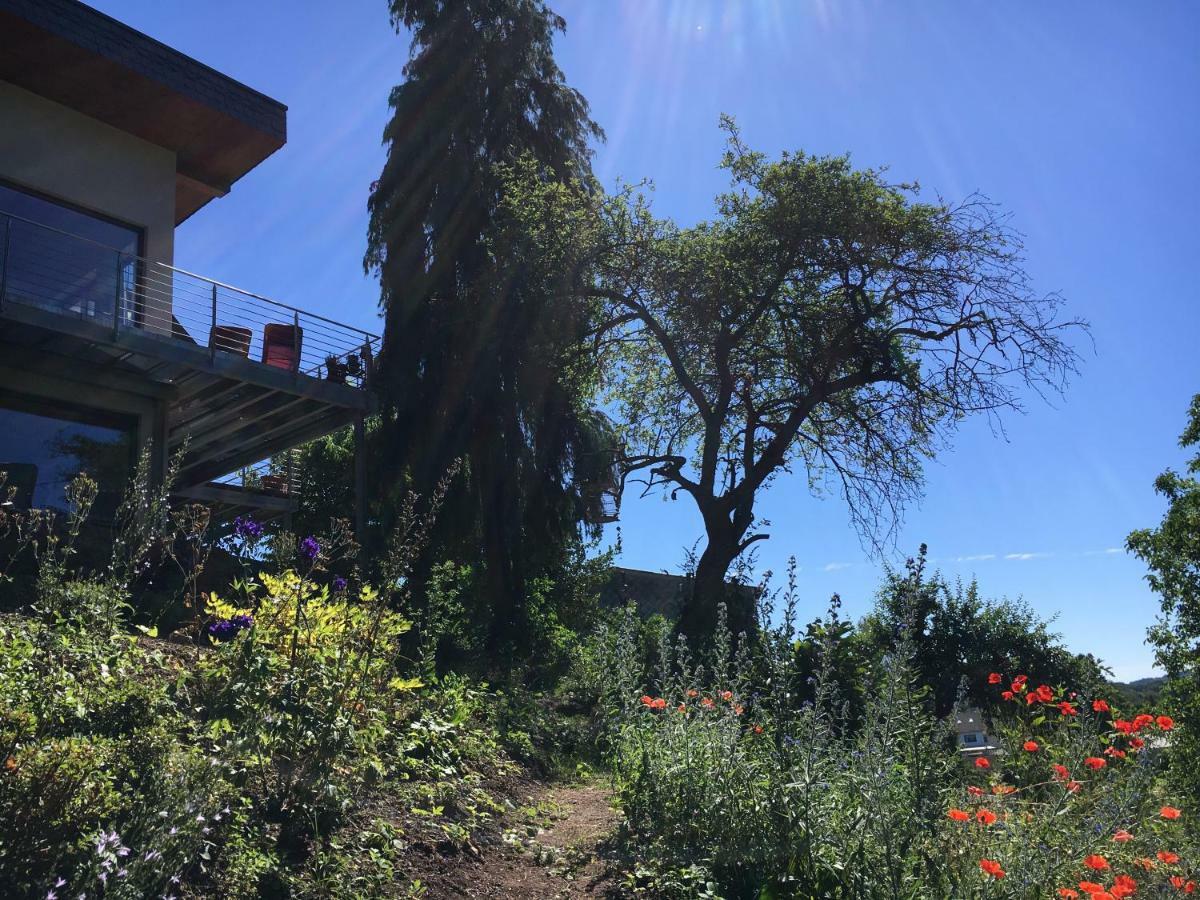 Haagalm Terrasse, Garten Nonnweiler Zewnętrze zdjęcie